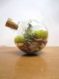 In Perfect Balance Terrarium Miniature Desktop Garden Unique Glass Orb Moss And Lichen Terrarium Miniature Terrar Terrarium Decor Terrarium Garden Terrarium