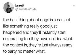 *free* shipping on qualifying offers. Dogs Are Always Ready To Party Whitepeopletwitter