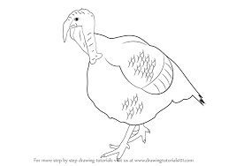 This will be the head of the turkey. Learn How To Draw A Turkey Farm Animals Step By Step Drawing Tutorials