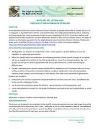 Letter q worksheets for kindergarten. Darwin Natural Selection Lesson Plans Worksheets