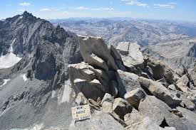 Image result for Oreophyton