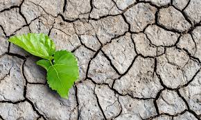 Epa on issues of climate change, global warming, including climate change science, greenhouse gas emissions data, frequently asked questions, climate change impacts and adaptation, what epa is doing, and what you can do. Climate Change To Impact One Third Of Food Production Regions