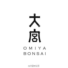 pin by 之石on font design typography design logo design typography