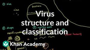 Classification of viruses baltimore classification based on seven main groups depending on their type of genome and their method of replication i double stranded dna viruses examples and no viruses herpes viruses pox services to positive sense single strand dna viruses example parvo virus is three. Virus Structure And Classification Video Khan Academy