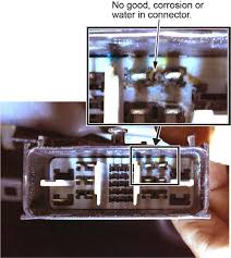 Image result for svrab na k%u016F%u017Ei