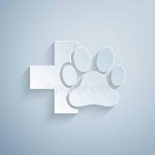 Whether your pet requires emergency services, specialized surgery, or a simple dental exam, our friendly staff will help your pet feel safe and comfortable. 310 Vet Clinic Ideas In 2021 Veterinary Clinic Hospital Design Veterinary Hospital