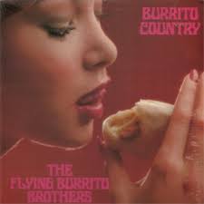 Image result for dischi country copertine