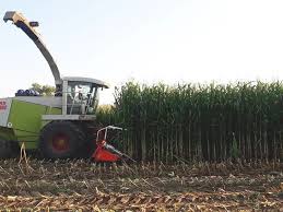 Hulk, exxposition, as 170, es skytower, leonor, nasiona kukurydzy Żuromin •  OLX.pl