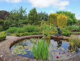 You can buy these from garden centres or specialist pond suppliers. 15 Breathtaking Backyard Pond Ideas Garden Lovers Club