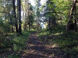 Got an rv site which was nice and big w some tree shade. Joseph H Stewart State Recreation Area 15 Reviews Campgrounds 35251 Hwy 62 Trail Or United States Phone Number