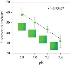 FITC‐Labeled Alendronate as an In Vivo Bone pH Sensor