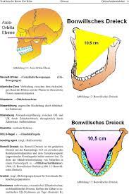 Bennett is a character in genshin impact. Illustriertes Funktionslehre Glossar Ausgabe 2 Pdf Free Download