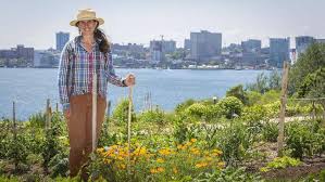 Chronicle Herald - Digging into our roots: Urban farms sowing ...