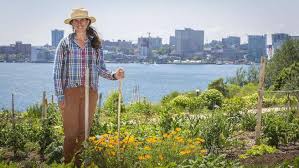 Chronicle Herald - Digging into our roots: Urban farms sowing ...
