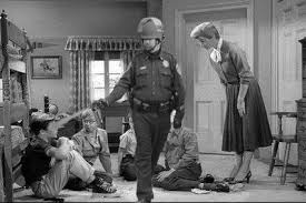 Image 208288 Casually Pepper Spray Everything Cop Know Your Meme