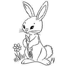 These alphabet coloring sheets will help little ones identify uppercase and lowercase versions of each letter. Top 10 Free Printable Rabbit Coloring Pages Online