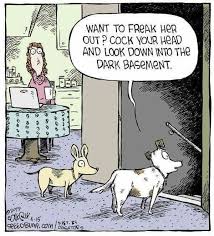 Pin By Nana B On Lols Dog Jokes Laugh Cartoon Funny Cartoons
