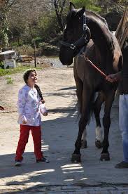 Inima nu respecta reguli ep 42_1. Inima Nu Respecta Reguli Posts Facebook