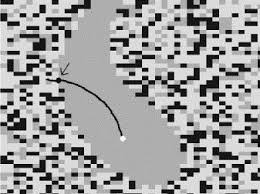 Image result for wada basins