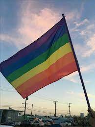 * puts pride flag up in the tower*. Pin On Lgbt