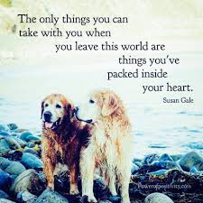 Labrador in dogs & puppies for rehoming in canada. Adoption Of Dogs Free Mumbai Home Facebook