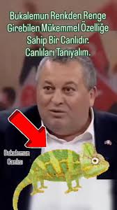 İsmail Çağlıyan