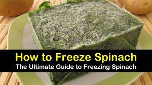 You don't have to worry about the freeze as is. 5 Quick Ways To Freeze Spinach