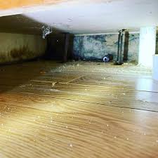Is Mold Behind Your Kitchen Cabinets Rochesterny Mold Moldremoval Moldtest Freemoldinspection Websterny Construction Group Mold Inspection Mold Remover