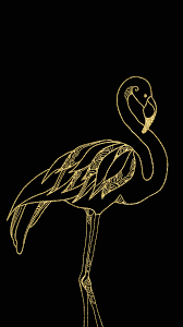 Black Gold Flamingo Wallpaper Gold Wallpaper Iphone Gold Wallpaper Hd Gold Wallpaper Background
