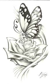 Easy and simple beautiful drawing pencil sketch for beginners. 3d Butterfly Drawing Black And White