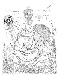 Pin On Coloring Pages