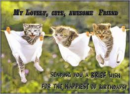 Birthday Wishes For Best Friend Male Funny Best Ever 80 Birthday Wishes For Friend Unique Birthday Messages Birthday Wishes Funny Cat Birthday Wishes Funny Happy Birthday Wishes