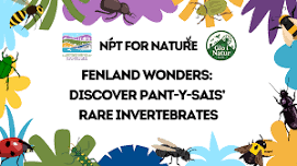 Fenland Wonders: Discover Pant-y-Sais’ Rare Invertebrates