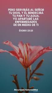 Versiculos Biblico Sobre La Alabanza Exodo 23 25 Frases Cristianas Citas Sobre Dios Palabra De Dios Biblia