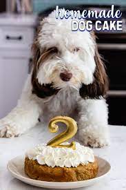 Homemade Dog Birthday Cake Crazy For Crust Recipe Dog Cake Recipes Dog Cakes Dog Birthday Cake