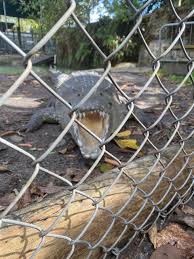 I _____ there for a long time. Everglades Outpost Wildlife Refuge Homestead 2021 All You Need To Know Before You Go With Photos Tripadvisor