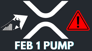 I still think this is not how pump works but the fact that there were 130k telegram users supporting the pump it is interesting to see how it turns out tomorrow. Warning Xrp Pump Dump Feb 1 Should You Buy Xrp Should You Sell Xrp Youtube