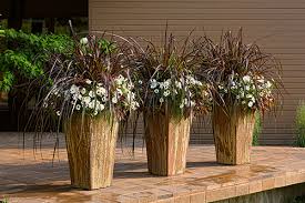 Maybe you would like to learn more about one of these? Ornamental Grasses For Inspired Designs Proven Winners