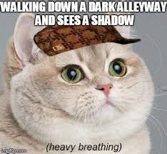 We did not find results for: Heavy Breathing Memes