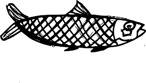 10 fish drawing png transparent onlygfx com 10 fish drawing png transparent