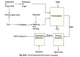 Production Of Ethanol Microbiology