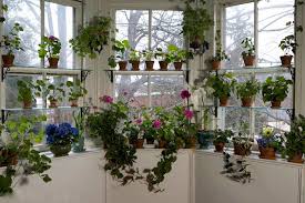 Frame the windows, using shorter plants and flowers under the windows and taller trees or bushes beside and between. How To Design A Window Garden Gallery Garden Design