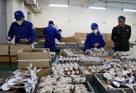 Xoá phông nền giúp chúng ta loại bỏ được những chi tiết không mong muốn, hoặc đơn giản là để có thể ghép hình ảnh mình vào những nền khác đẹp sau đó, bạn tùy chọn vào select a photo (tải ảnh lên từ thiết bị) hoặc enter a url (nhập đường link của ảnh cần tách), ở đây mình chọn select a photo. 14 Ä'iá»ƒm Ban Phao Hoa Tren Cáº£ NÆ°á»›c Cho NgÆ°á»i Dan Dá»‹p Táº¿t Vietnamnet