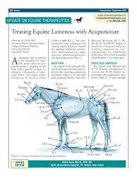 Treating Equine Lameness With Acupuncture Vetlearn Com