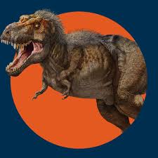 From the latin rēx (king), referring originally to rabbits of the belgian castorrex breed, so named because their fur was similar to that of beavers. What Do You Know About T Rex Amnh