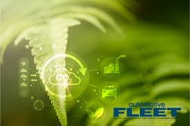 Image result for Green 2024 Fleet