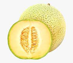 Shiva hand with damru maha shivratri background. Cantaloupe Melon Fruit Concentrate Rock Melon Hd Png Download Transparent Png Image Pngitem