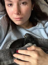 1.5 year old canary died suddenly