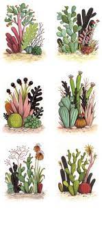 Free printable cactus coloring pages for kids. 54 Cactus Drawing Ideas Cactus Cactus Drawing Cactus Art