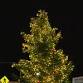 Holly Days — North Bend Downtown Foundation event image